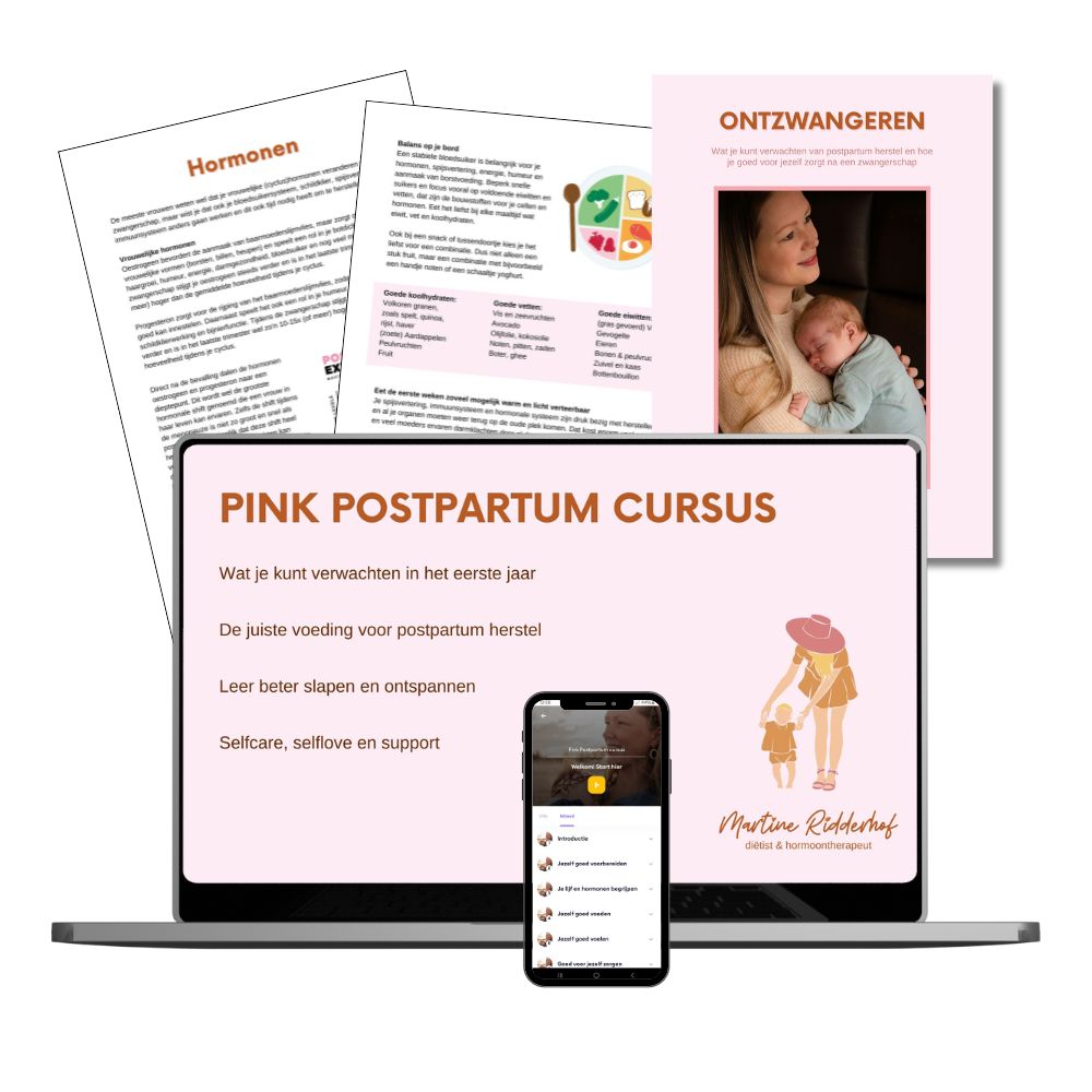 postpartum programma mockup
